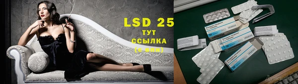 эйфоретик Ладушкин