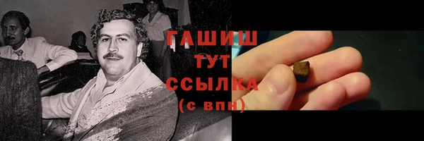 прущие грибы Лабытнанги