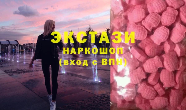 прущие грибы Лабытнанги