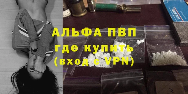 эйфоретик Ладушкин